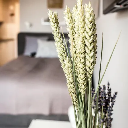 Stadtgefluester Apartman *
